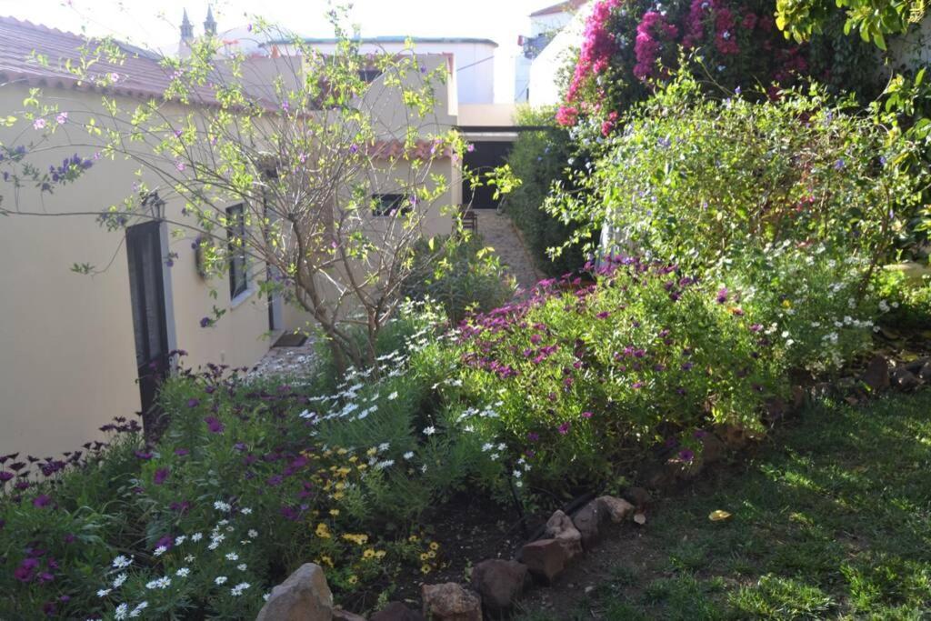 Garden In The City Silves Εξωτερικό φωτογραφία