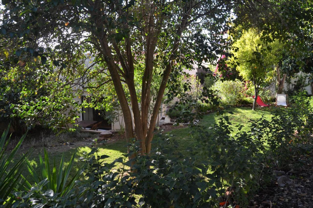 Garden In The City Silves Εξωτερικό φωτογραφία